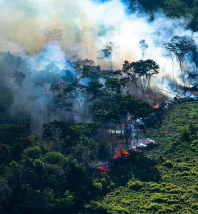 Incêndios na Amazonia