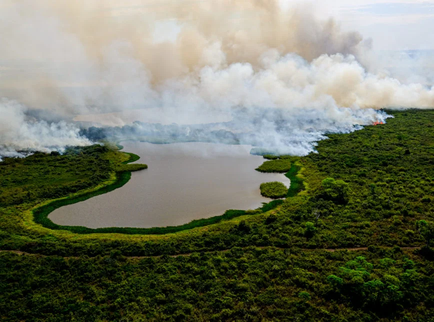 incêndios no Pantanal testam resiliência dos biomas